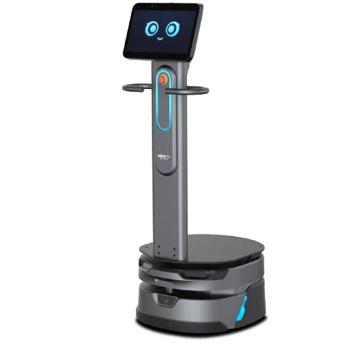 Orionstar CarryBot